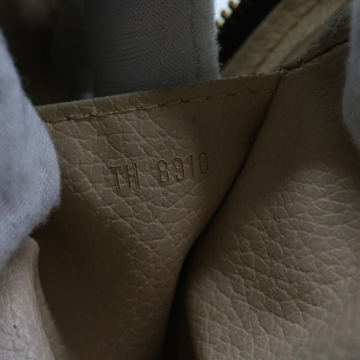 Louis Vuitton  Canvas Clutch Bag