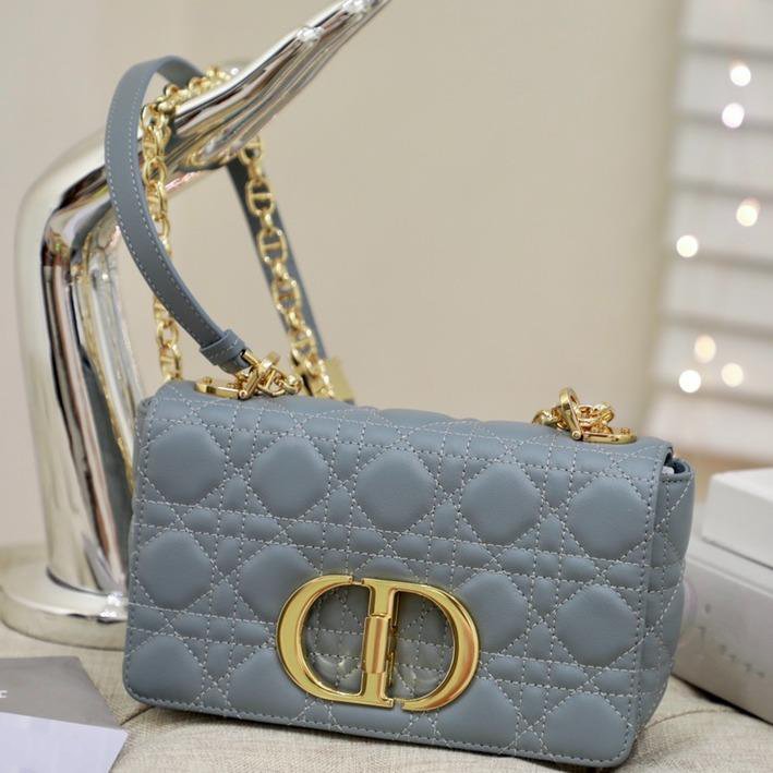 SMALL CARO BAG GRAY SUPPLE CANNAGE CALFSKIN Amelia