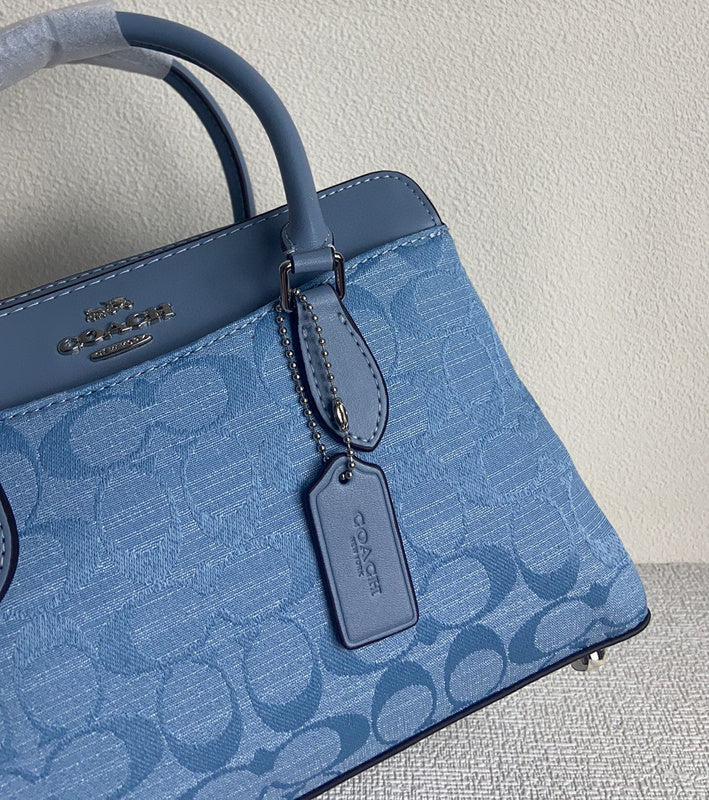 Amelia-i CAH Bags - 093