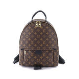 Louis Vuitton Monogram Palm Springs Backpack MM Brown