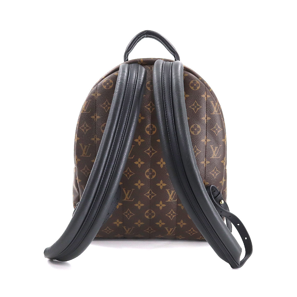 Louis Vuitton Monogram Palm Springs Backpack MM Brown