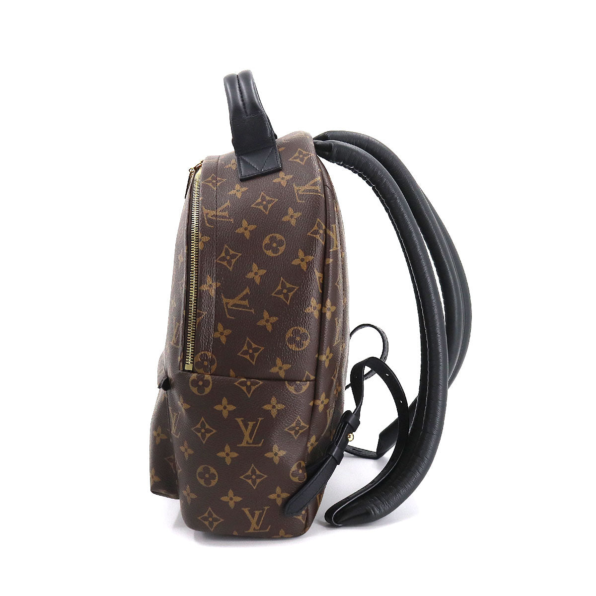 Louis Vuitton Monogram Palm Springs Backpack MM Brown