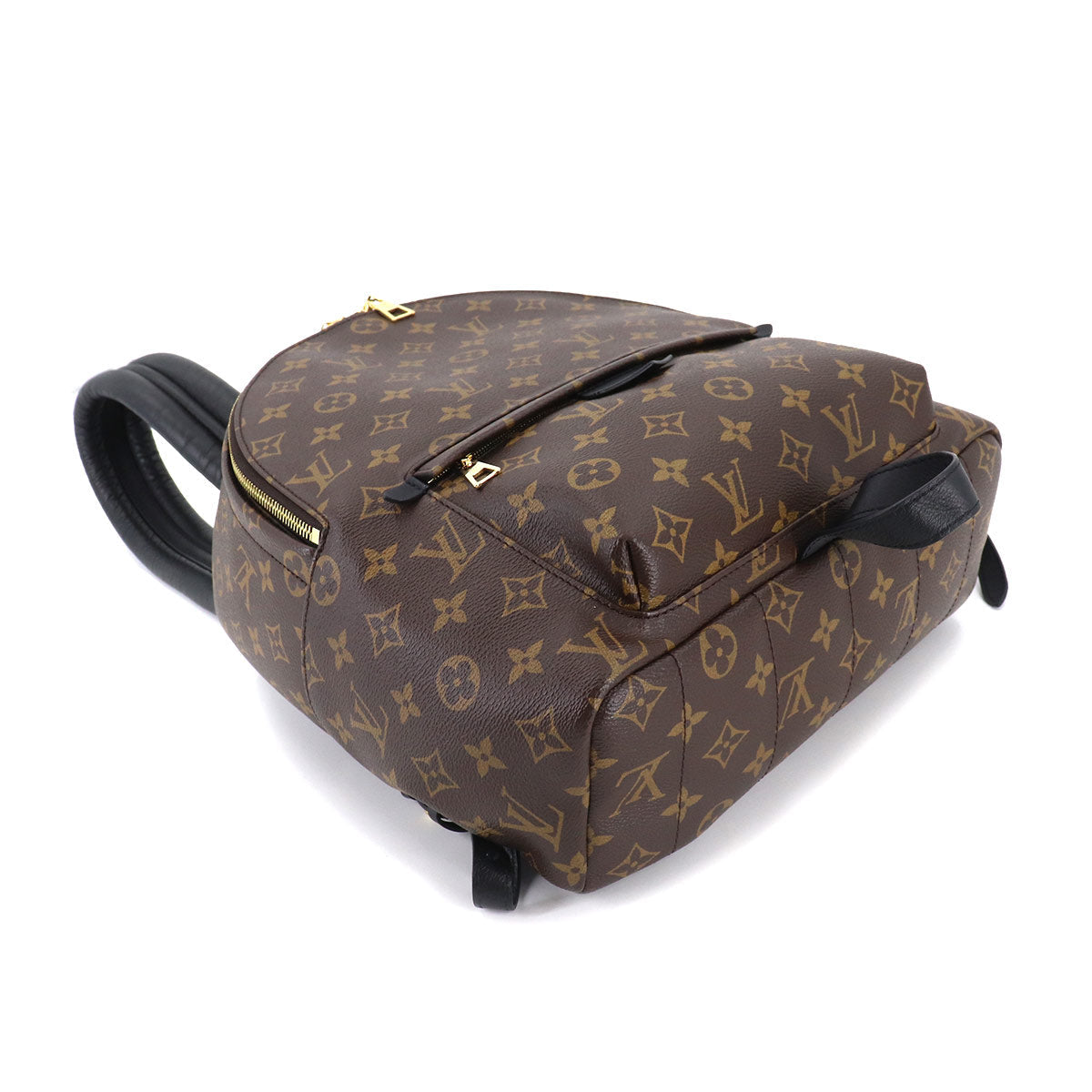 Louis Vuitton Monogram Palm Springs Backpack MM Brown
