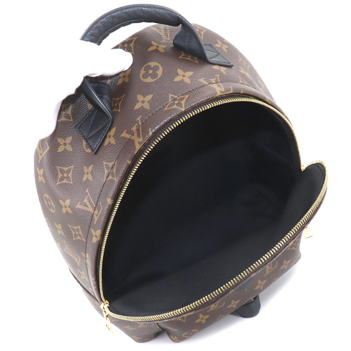 Louis Vuitton Monogram Palm Springs Backpack MM Brown