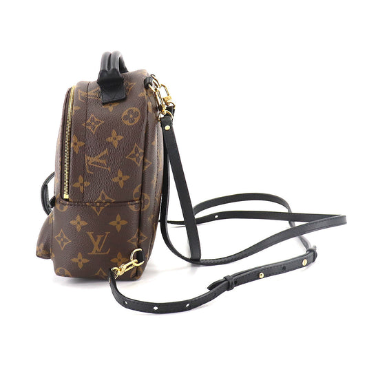 Louis Vuitton Monogram Palm Springs Backpack Mini Rucksack Brown