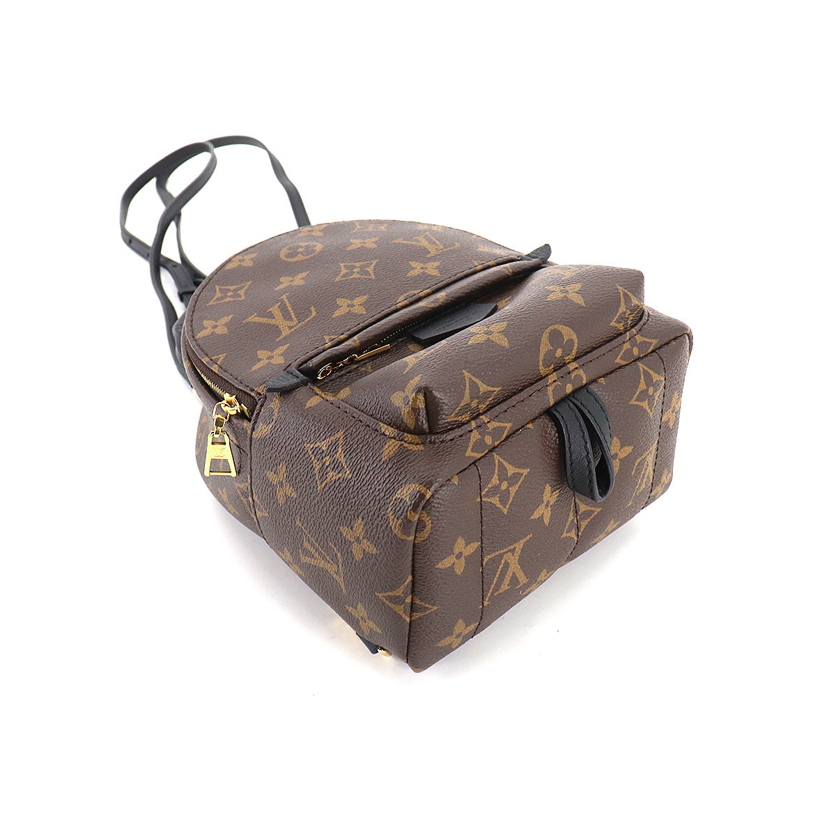 Louis Vuitton Monogram Palm Springs Backpack Mini Rucksack Brown