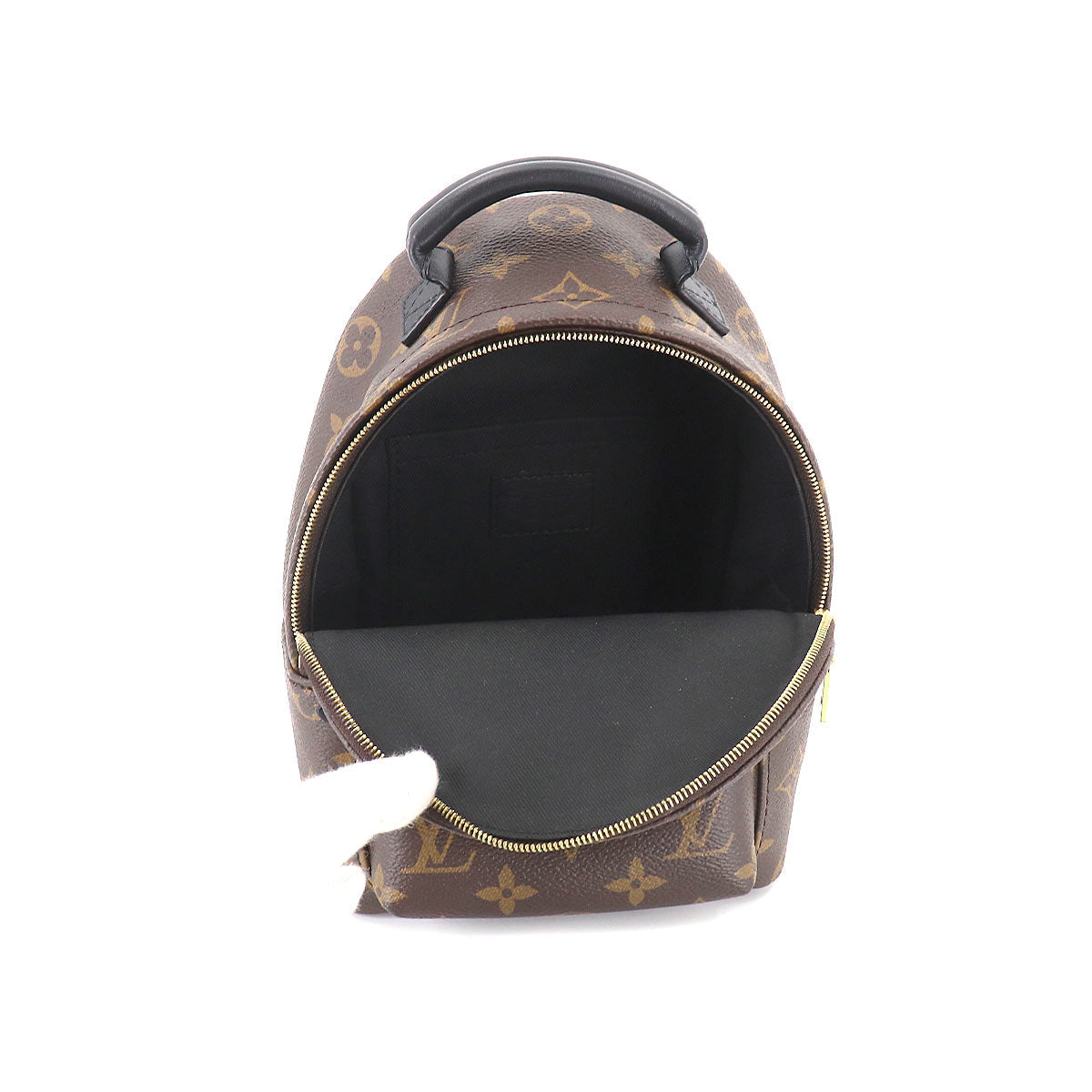 Louis Vuitton Monogram Palm Springs Backpack Mini Rucksack Brown