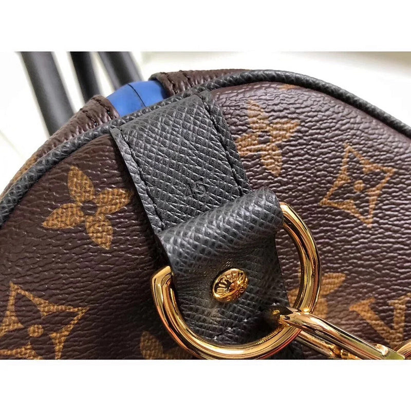 Amelia - LV Bags - 12896