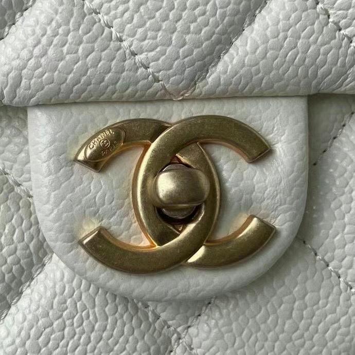 Amelia- CHL Bags - 6339