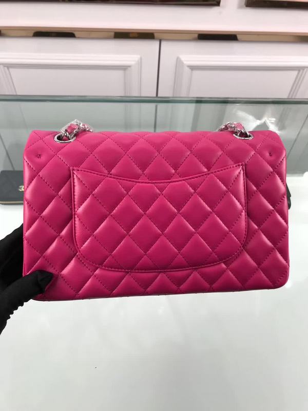 Amelia- CHL Bags - 6672