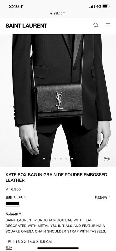 Amelia - YSL Bag - 3720