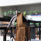 Amelia - MAmeliaBRANDED BAGS - 023