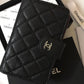 Amelia- CHL Bags - 6263