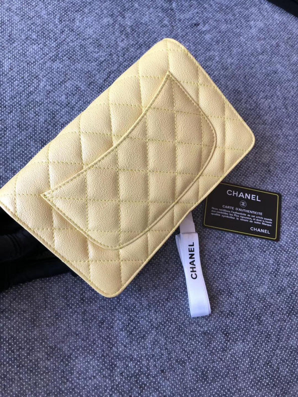 Amelia-  CHL BAGS  - 701