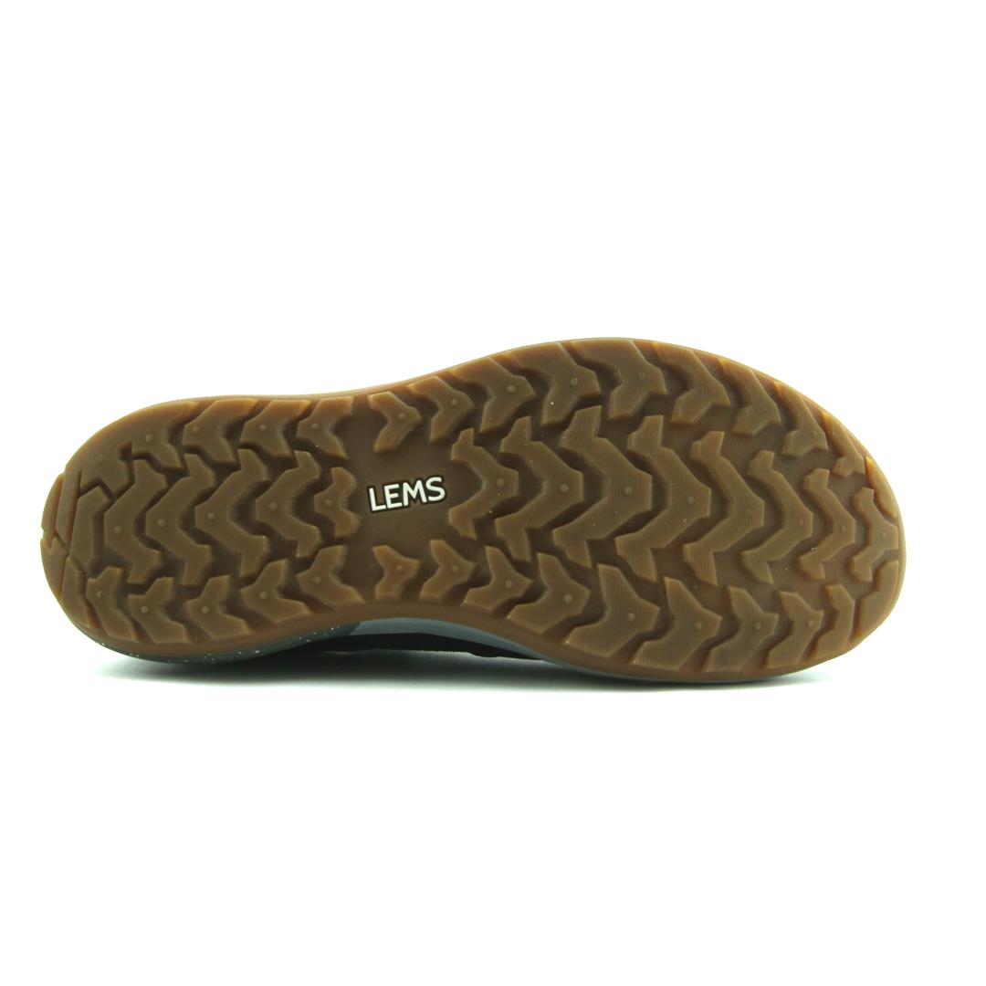 LEMS MESA