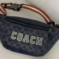 Amelia- CAH Bags - 613