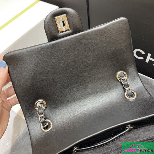 Amelia-  CHL BAGS  - 303