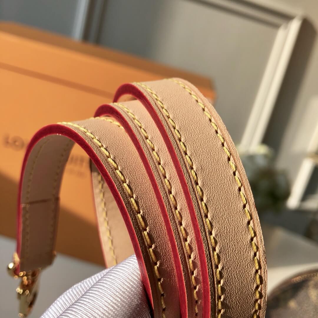 M53151 ALMA PM Monogram Canvas brown handbag