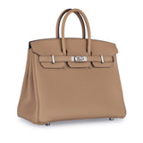 Birkin 25 - Chai Clemence