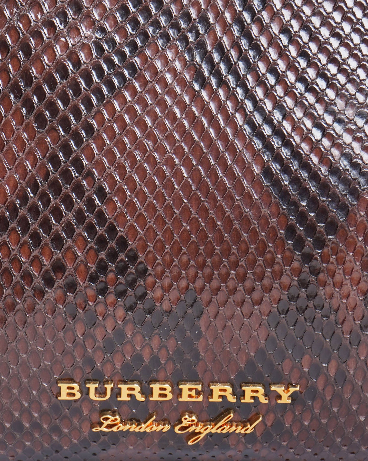 Burberry  The Banner python handbag