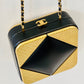 CHANEL CC CRUISE COLLECTION EVENING BAG WITH CHAIN