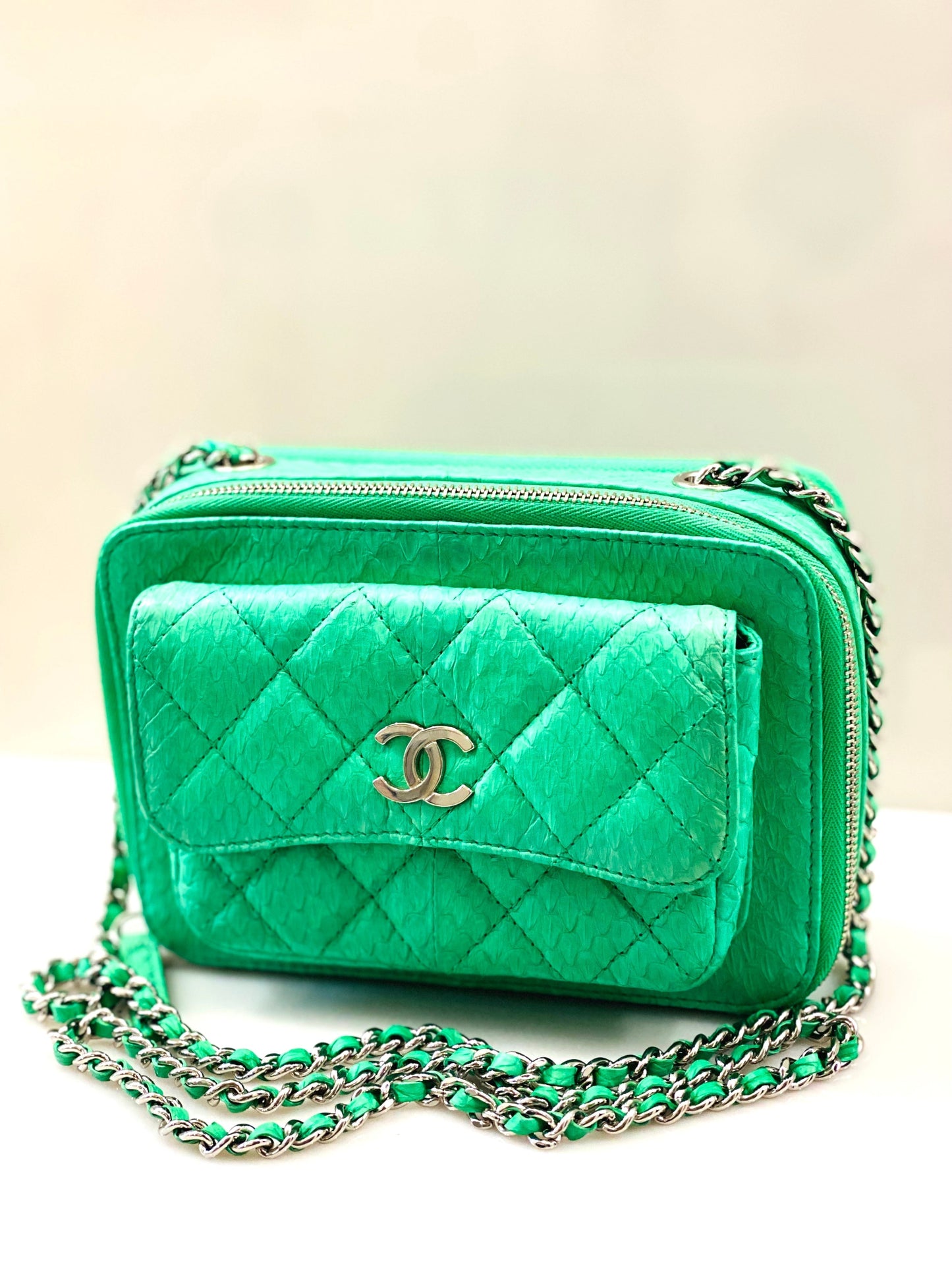 CHANEL DOUBLE ZIP SNAKESKIN EMBOSSED LEATHER SMALL CAMERA BAG