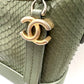 CHANEL CC PYTHON GABRIELLE HOBO BAG