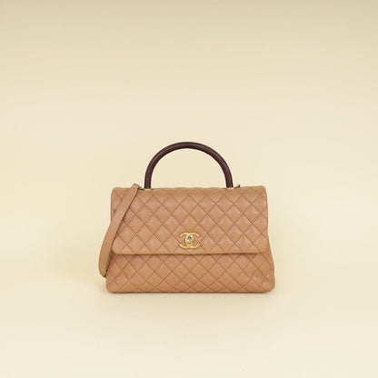 Chanel Bicolor CC Coco Handle Lizard Touch Bag