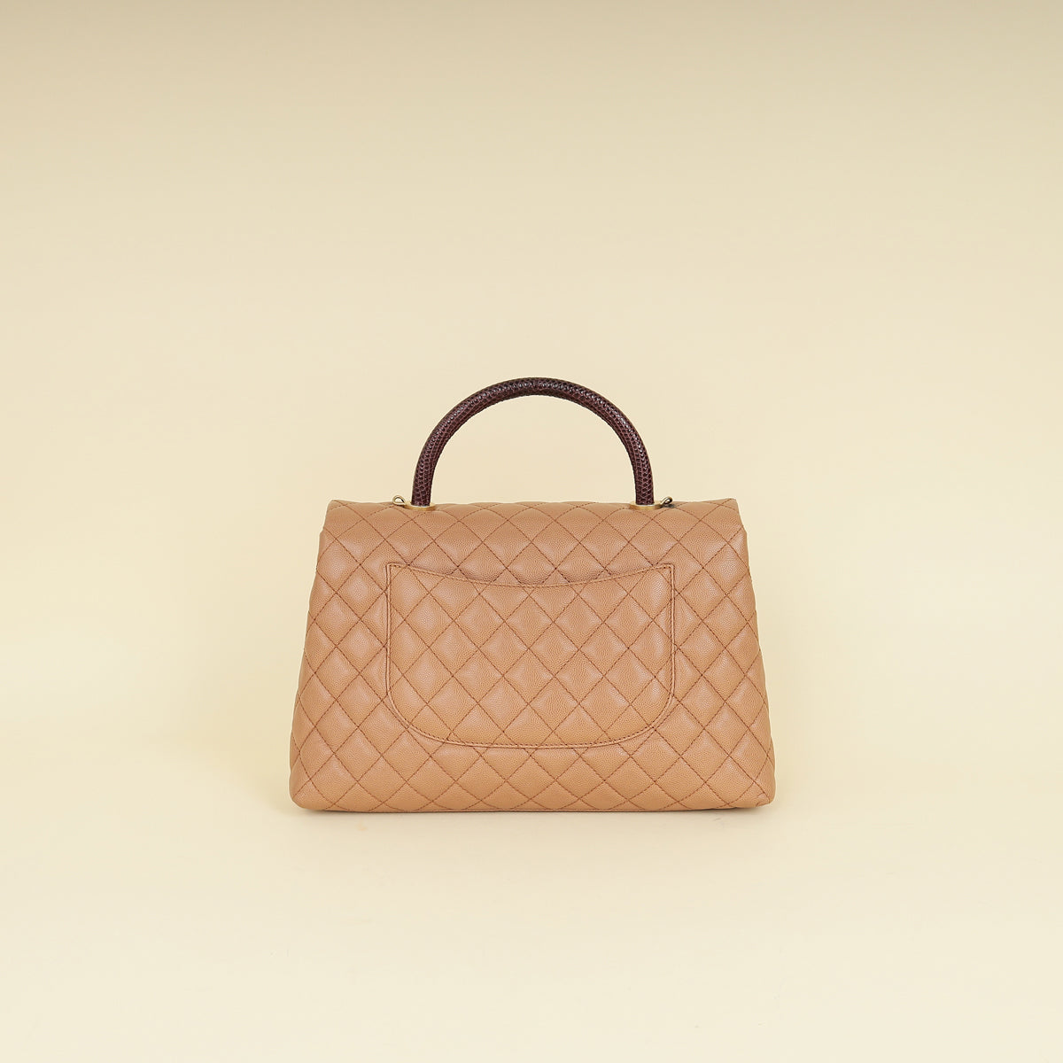 Chanel Bicolor CC Coco Handle Lizard Touch Bag