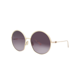 Dior Sunglasses — EVERDIORR1