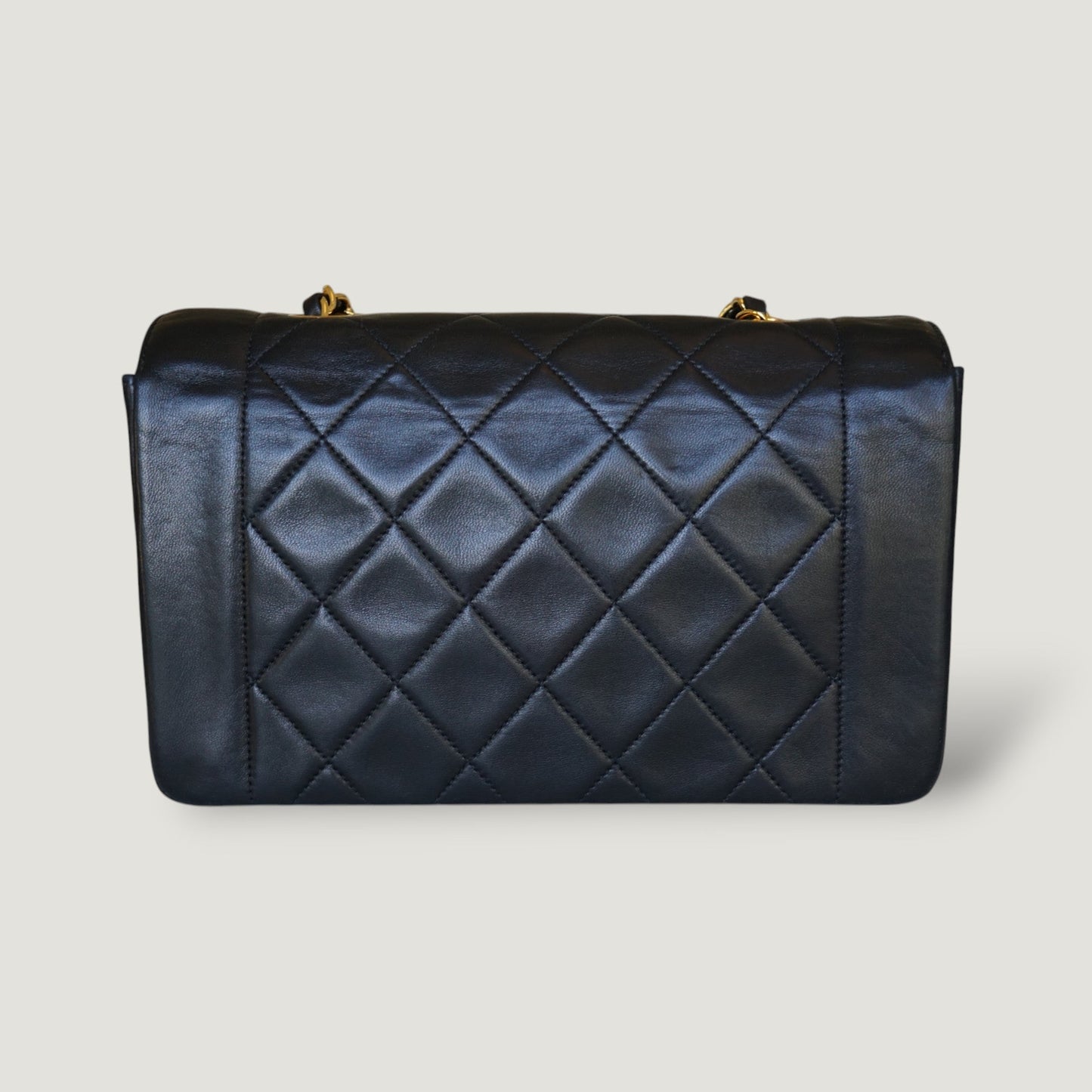 CHANEL DIANA SMALL BAG