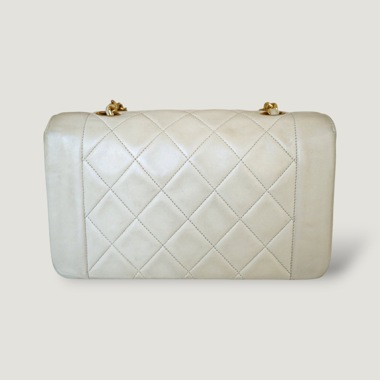 CHANEL DIANA SMALL BAG