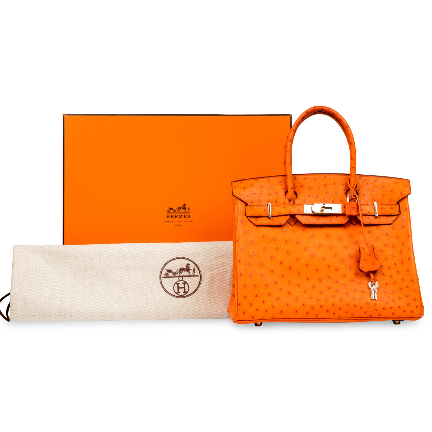 Birkin 30 - Ostrich