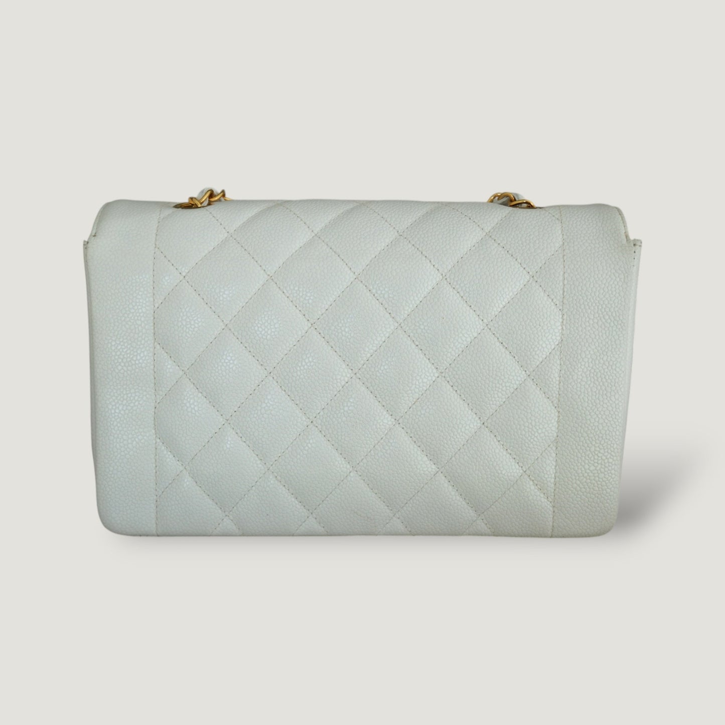CHANEL DIANA MEDIUM BAG