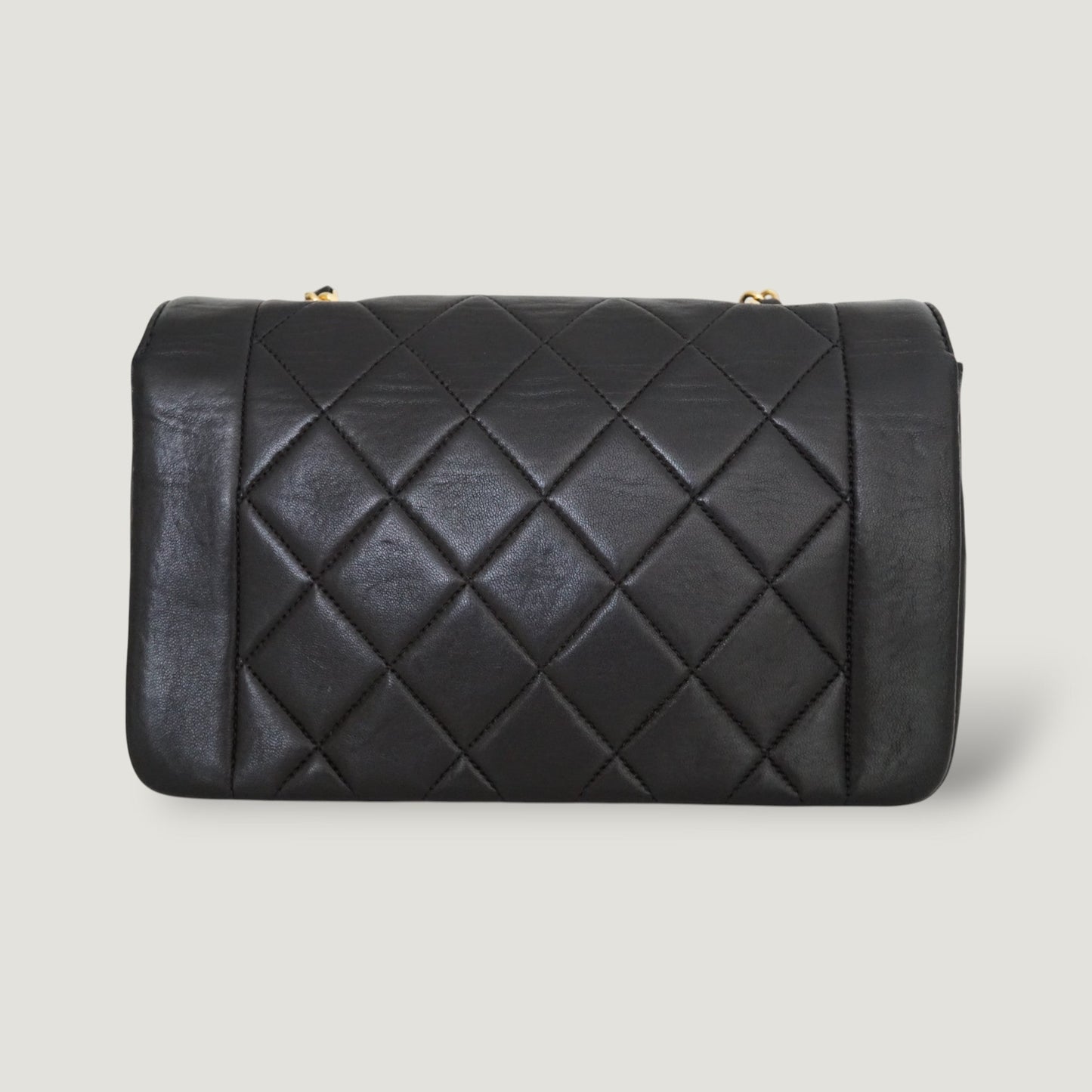 CHANEL DIANA SMALL BAG