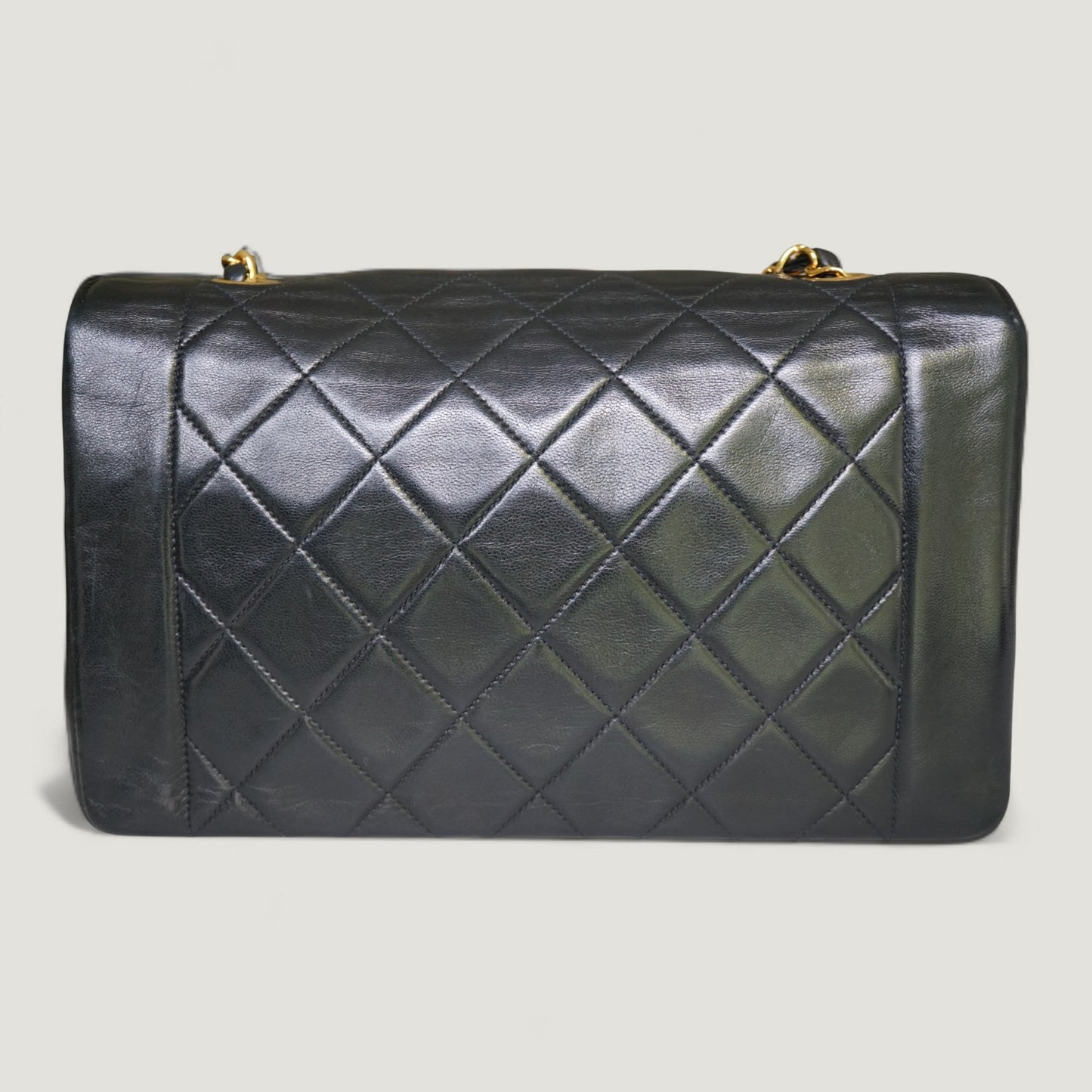 CHANEL DIANA MEDIUM BAG