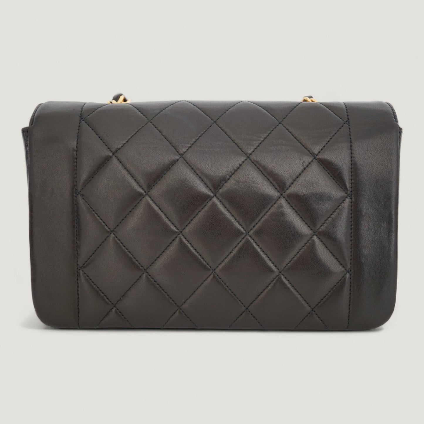 CHANEL DIANA SMALL BAG