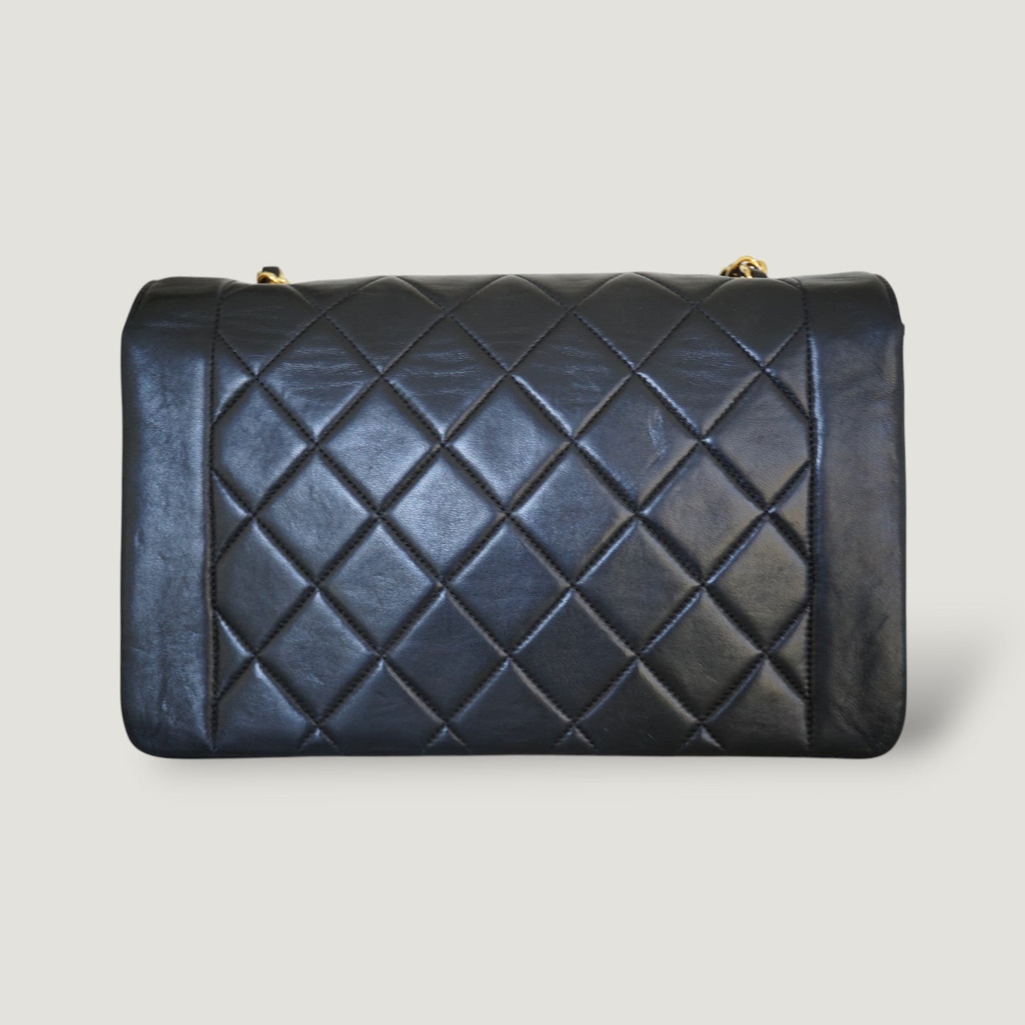 CHANEL DIANA MEDIUM BAG