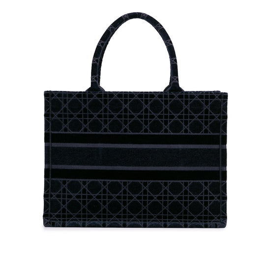 Dior Medium Cannage Embroidered Book Tote (SHG-fvzewU)