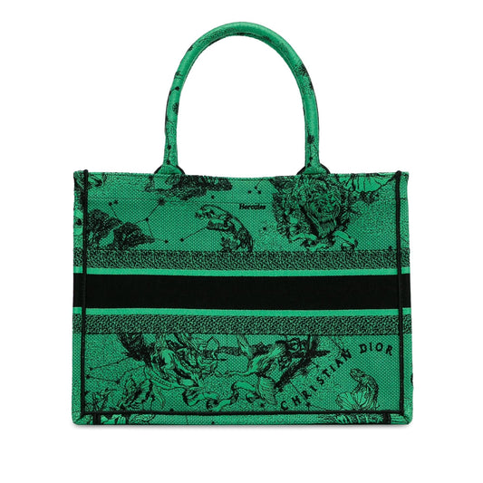 Dior Medium Embroidered Canvas Book Tote (SHG-M5oFGi)