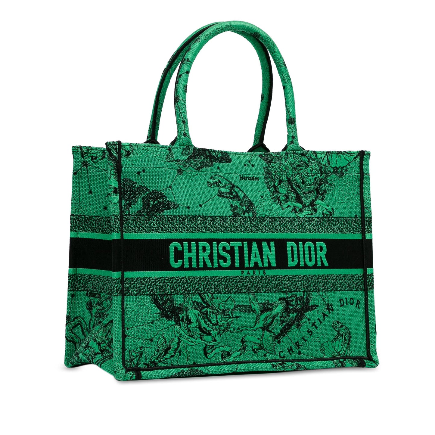 Dior Medium Embroidered Canvas Book Tote (SHG-M5oFGi)