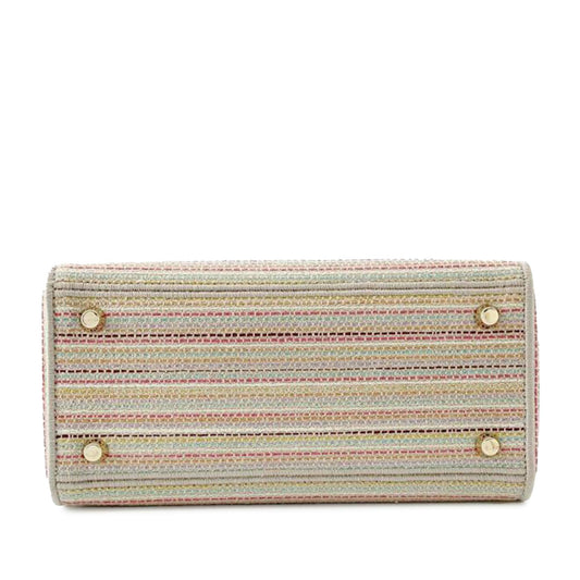 Dior Medium Embroidered Canvas Lady D-Lite (SHG-fmX9eY)
