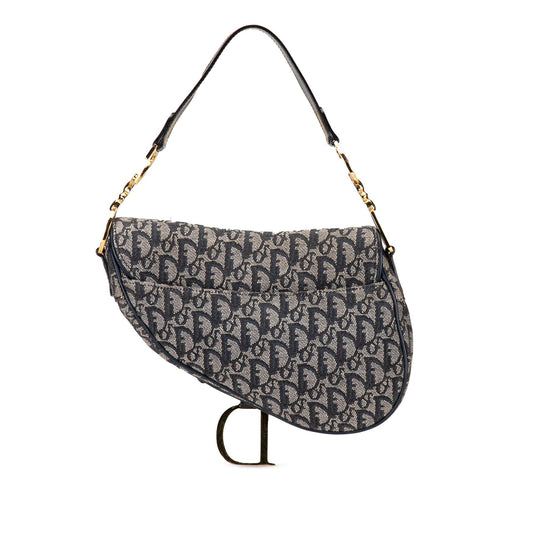 Dior Oblique Canvas Saddle (SHG-yGP2np)