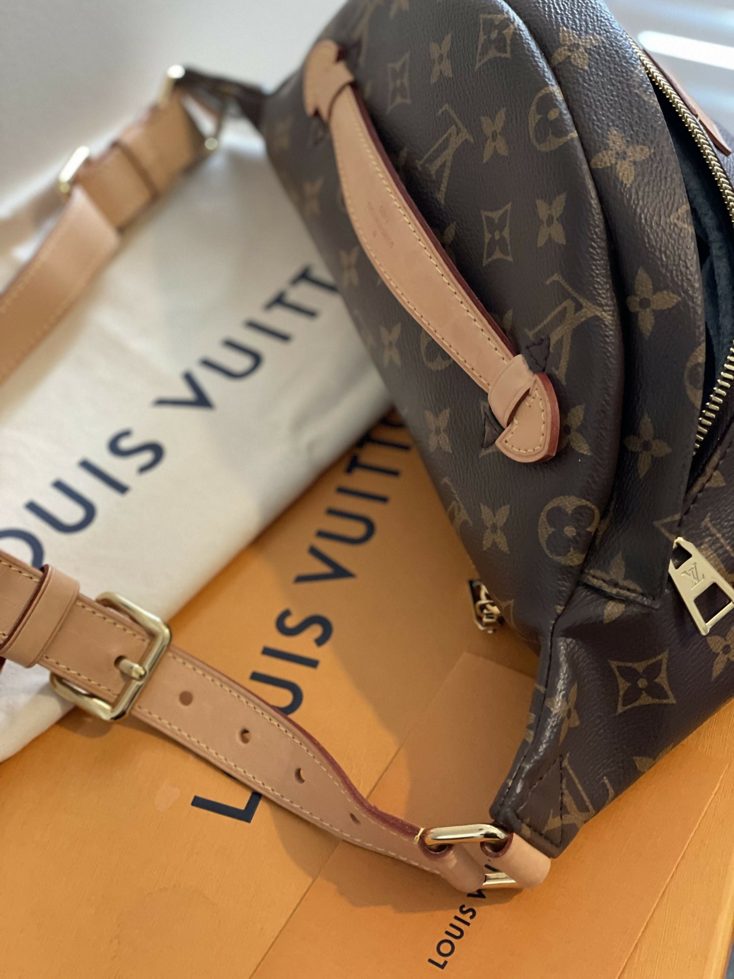Louis Vuitton Bum Bag MM Monogram