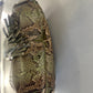 GUCCI BABOUSKA INDY GREEN PYTHON HANDBAG