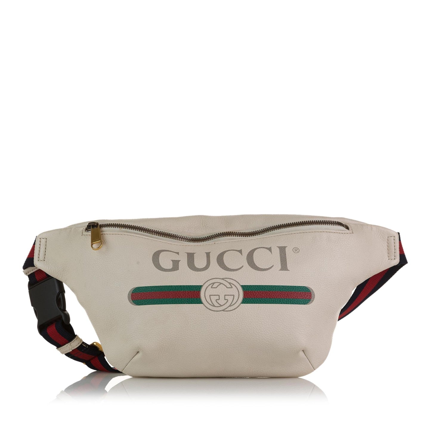 Gucci Gucci Logo Belt Bag (AN12yt)