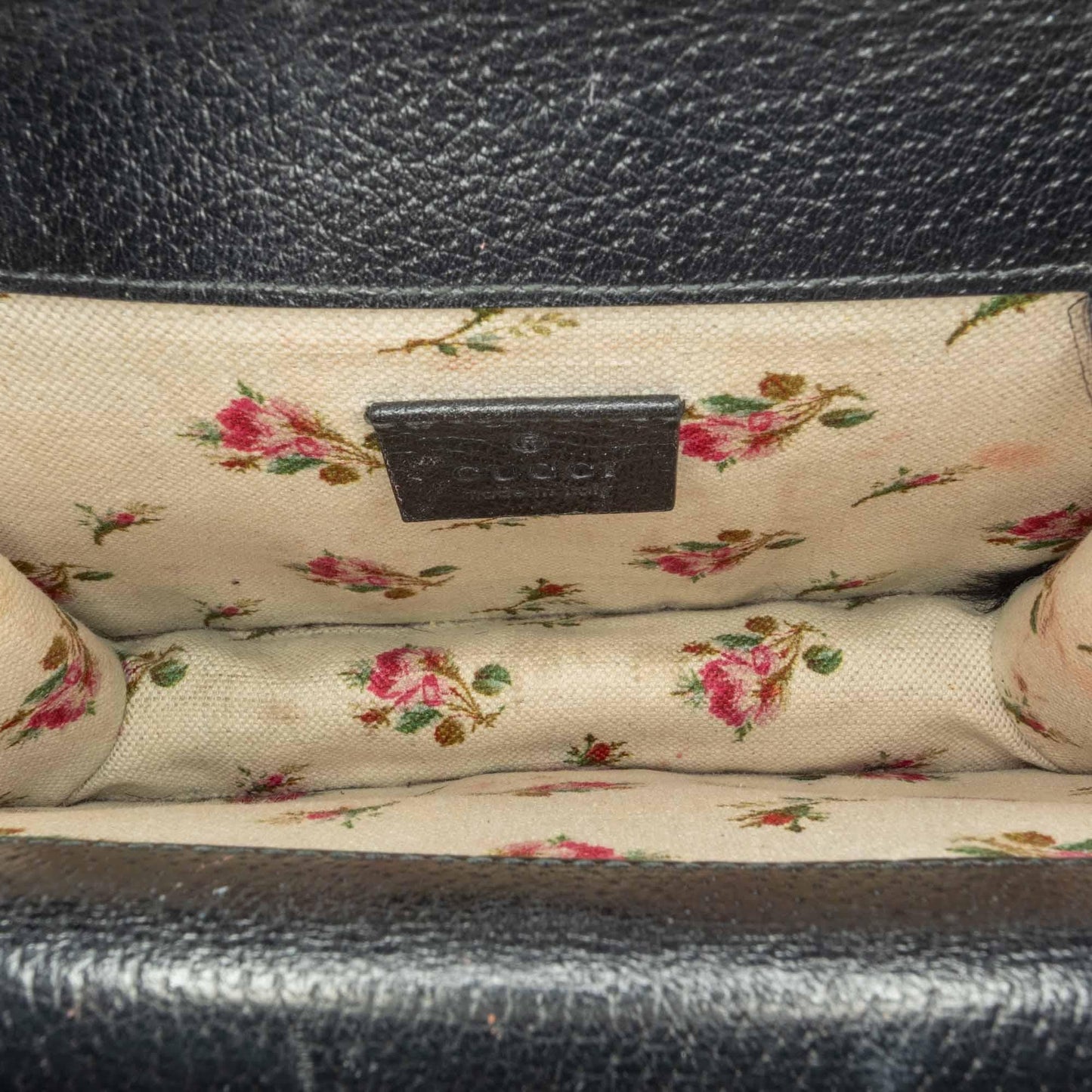 Gucci Mini Leather Dionysus Web Crossbody (f04gB7)