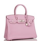 Luxury Hermes Birkin 30 Mauve Sylvestre Clemence Palladium Hardware