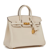 Luxury Hermes Birkin 25 Nata Swift Gold Hardware