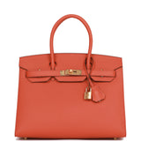 Hermes Birkin 30 Sellier Terre Battue Epsom Gold Hardware